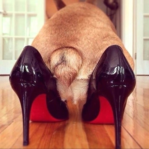 Meet your Posher, Reina - Picture 17 of 17